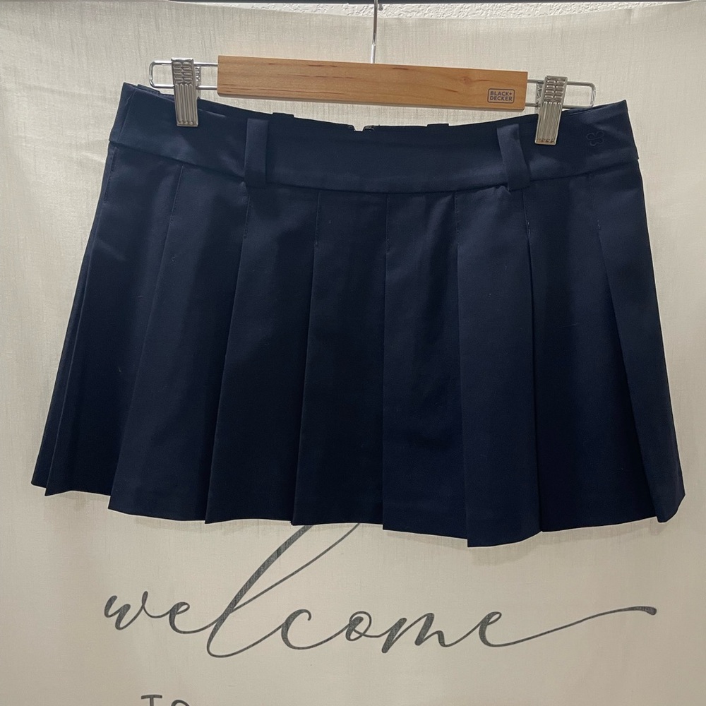 Aritzia Dark Blue Pleated Mini Skirt